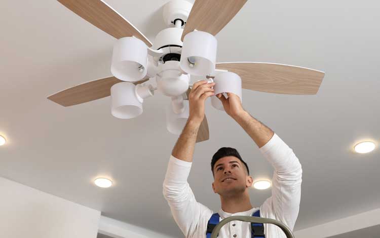 How to Change a Light Bulb in a Ceiling Fan?